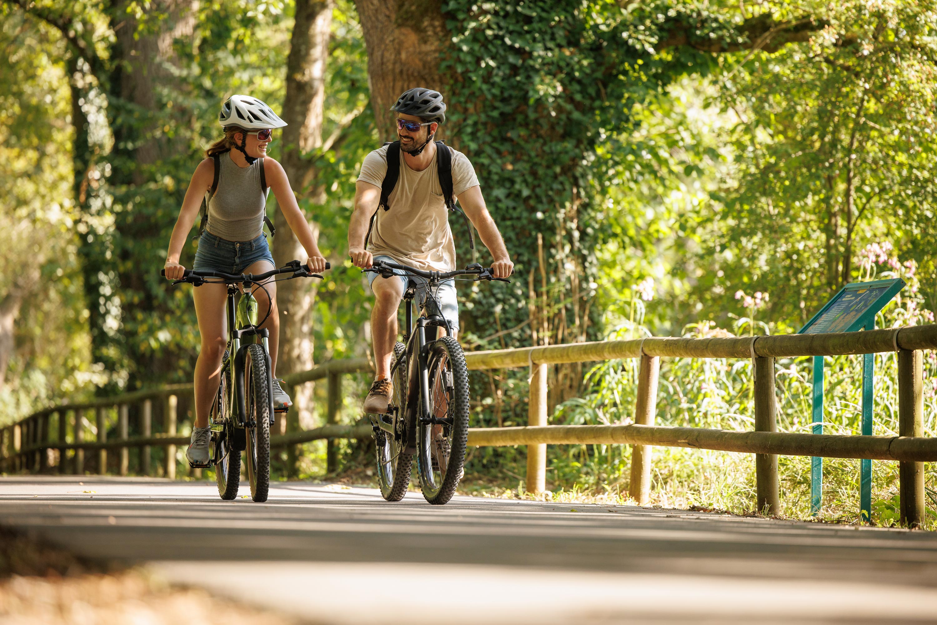 ebike_bulls_e-mtb-hardtail_paar_wald_2024